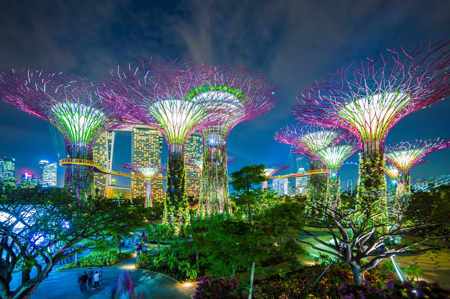 Gardens by the Bay
