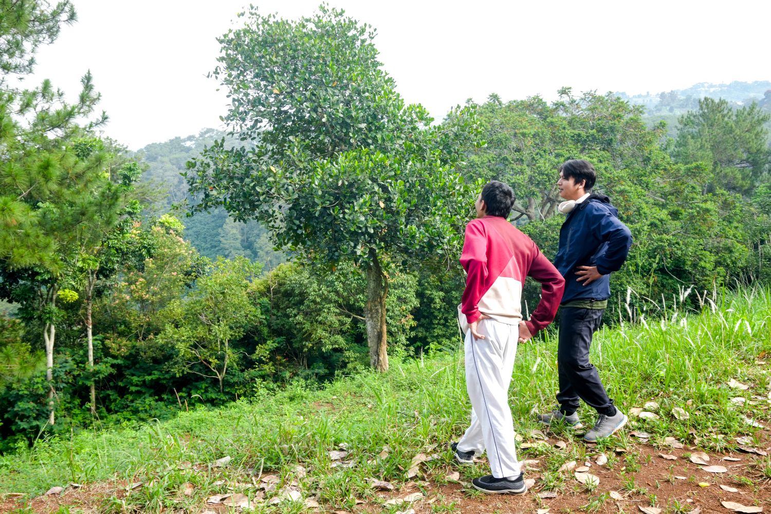 Phu Soi Dao National Park