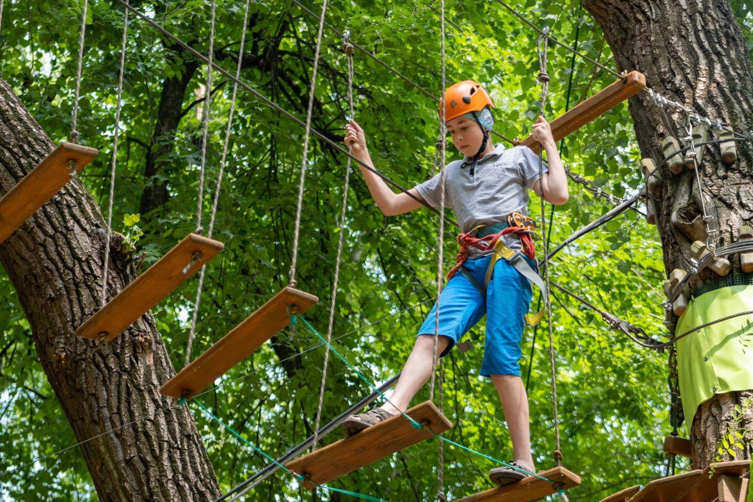 Tree Top Adventures Park